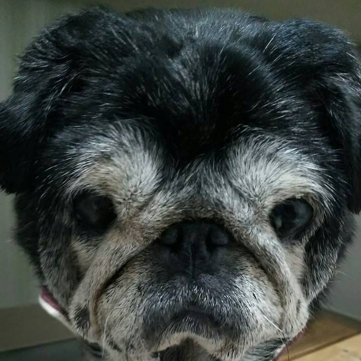 415934f3 6a3d 4bac 884b 74b065828b77