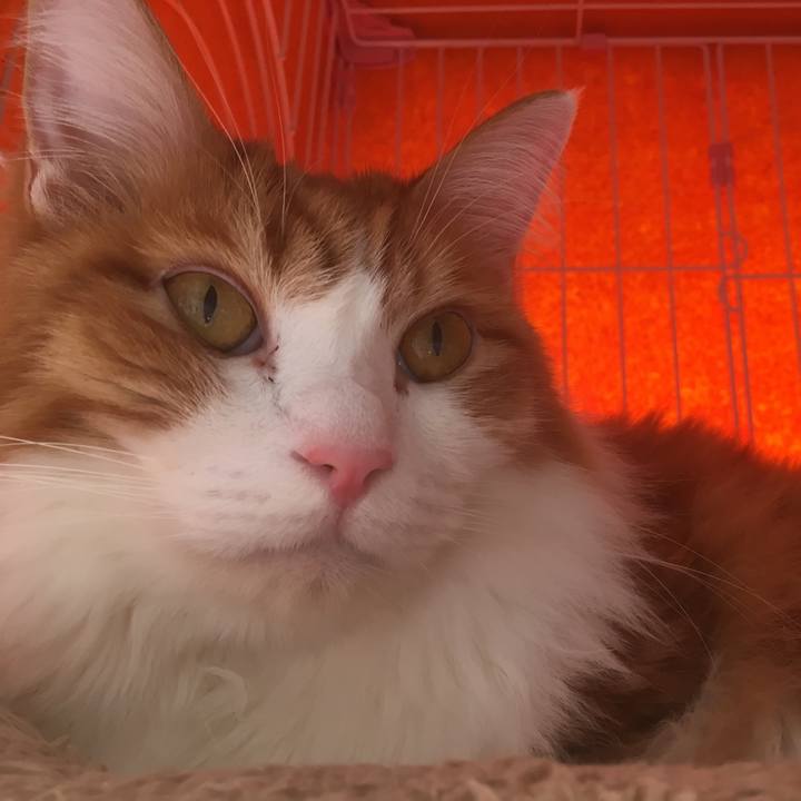 41593515 baa9 4682 8ff8 bbfa46d4dc06