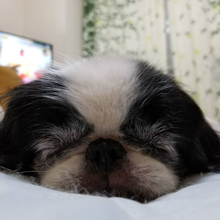 4159a1e2 1cbf 4f08 8fea 89a66e48a65a