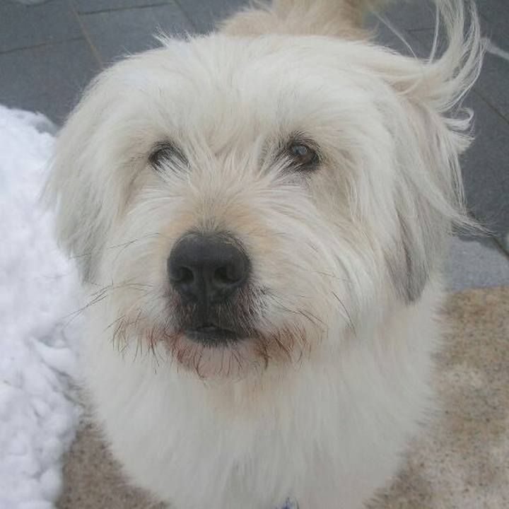 4159bb4c 7275 4550 b71b 1377e8eb2374