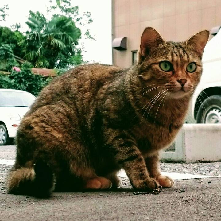 4159e072 3ccf 4361 9fc4 2e9adfd032c8