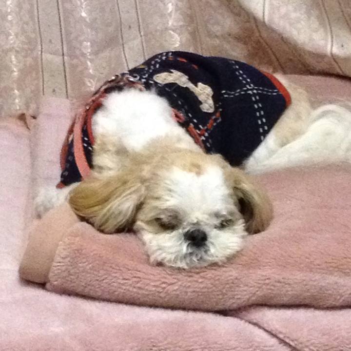 4159e787 79f4 4054 bdd0 5f87e77fb921