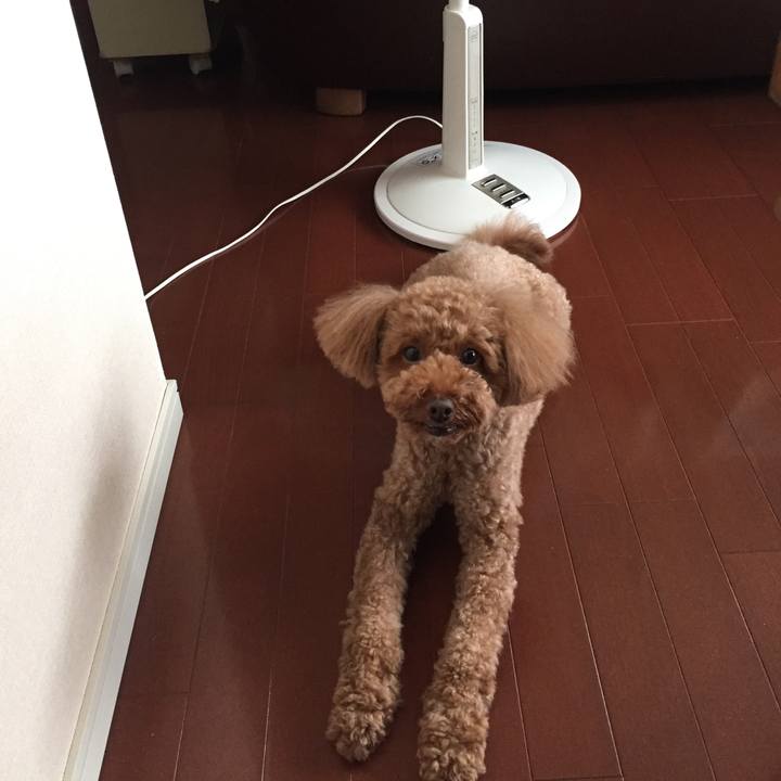 415a089e 68b2 4655 bfb1 a659f083ef46