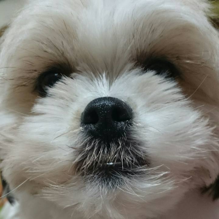 415a389a 0a01 4e56 9f88 f7a74a52b1bb