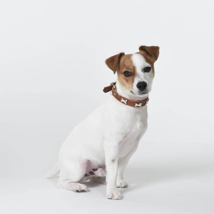 415b1443 f65a 4487 9579 e194b8770301