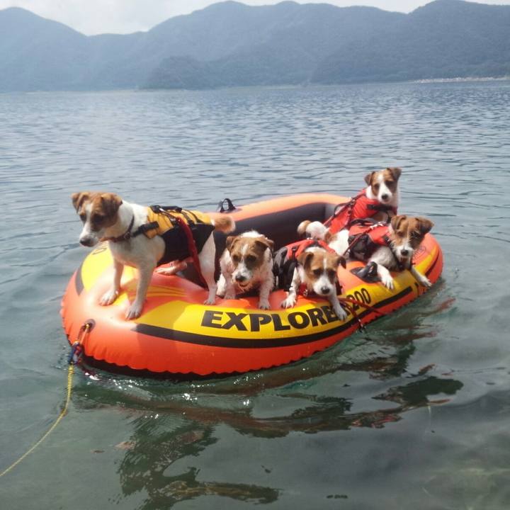 415b60f4 7489 48be b87b 607a0dd16ead