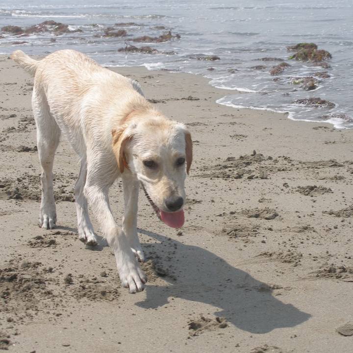 415c0373 ffa7 47f6 ad20 4a2bbba04f51