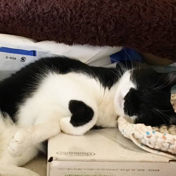 415c4966 e98c 4a42 add0 546425b254b1