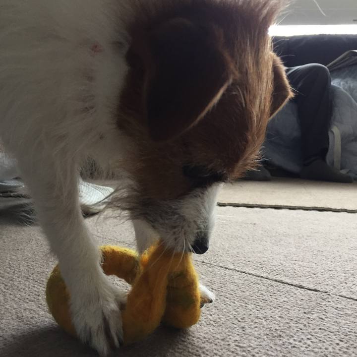 415c5d8a 288a 45ec 8b12 5233a4ba7ebc