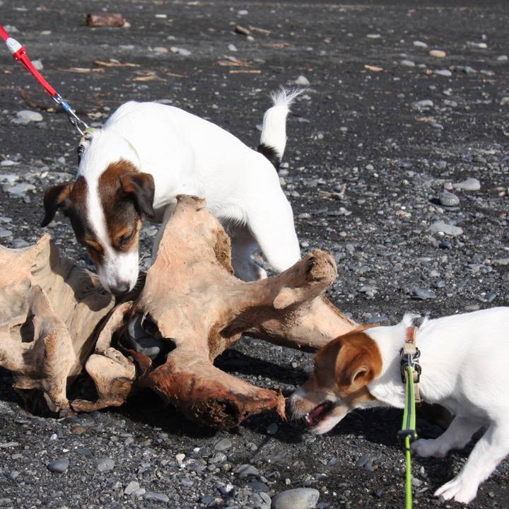 415c6064 e1fd 4e06 89b0 94ba691408dd