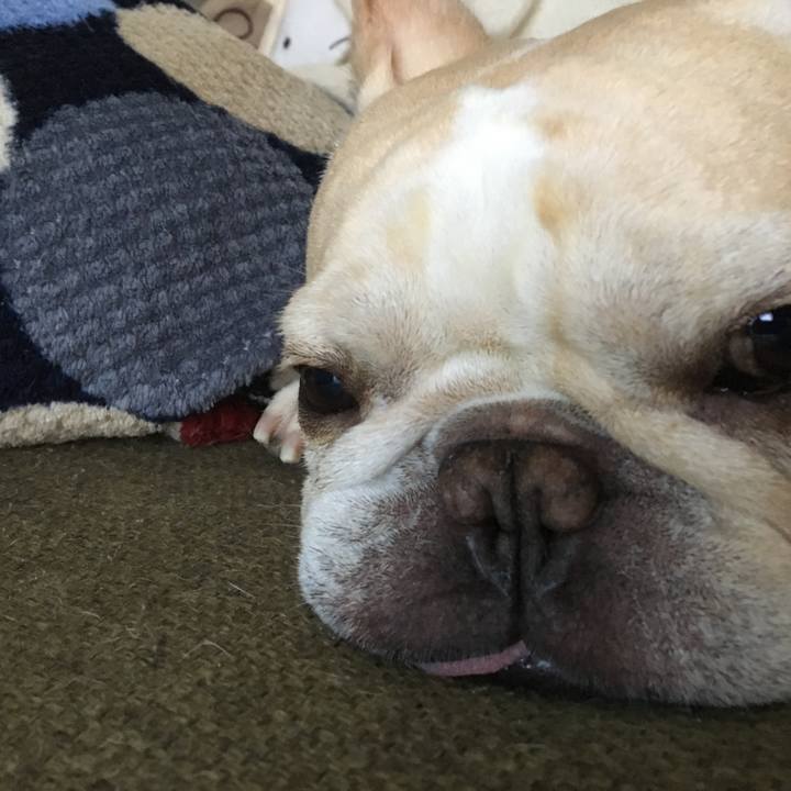 415cbdd3 6a40 4c89 bc83 921614990f13