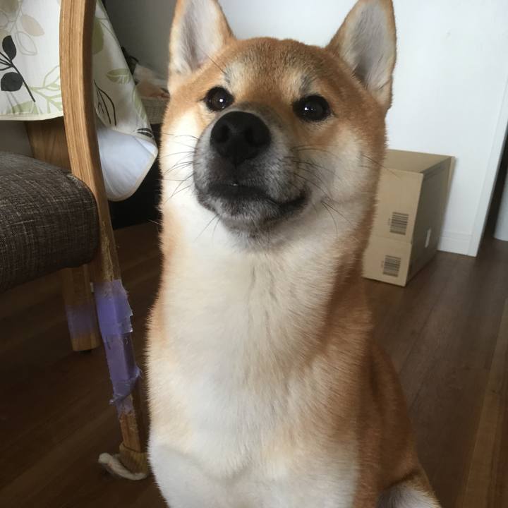 415cd1c2 59bd 4eac 857c 8266bd178533