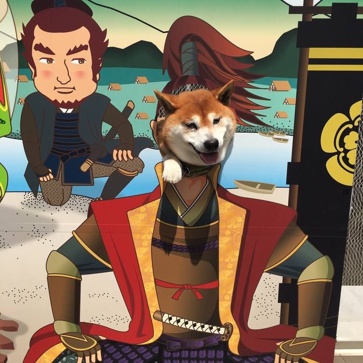 415d6003 2a24 4489 bd7f eabf537fd2aa