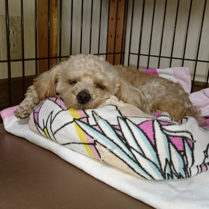 415d80f1 68a3 4d8f 93a3 8c7610165631