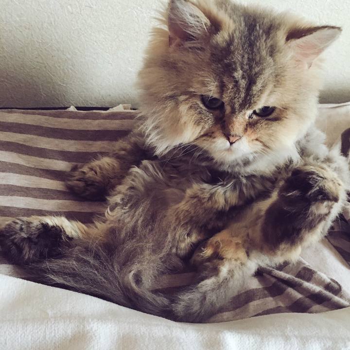 415d8b77 6655 4242 8fa5 c0734543d6fb