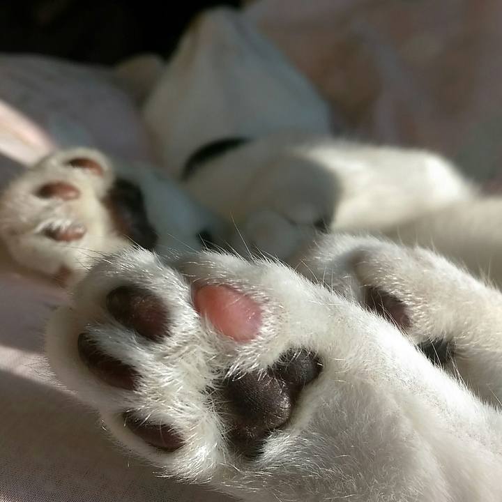 415daca4 72ca 476b 8552 e2727f5ecf94