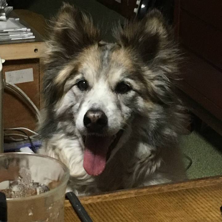 415dd628 db59 447e b0aa e7c9cb63e250