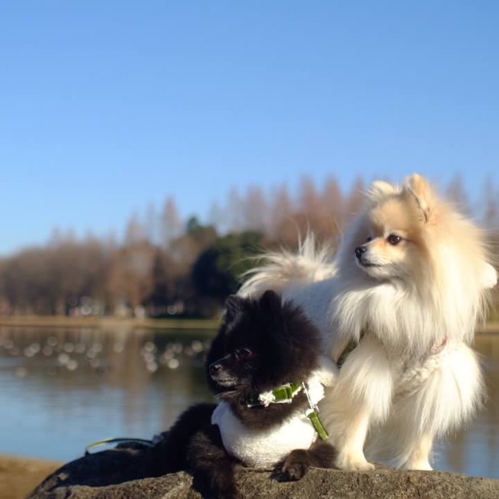 415dffde e036 4af6 927f fcf2fe43576c