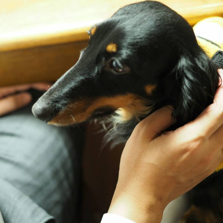 415e1b63 31cd 4dfd a2e7 606b0032c66e