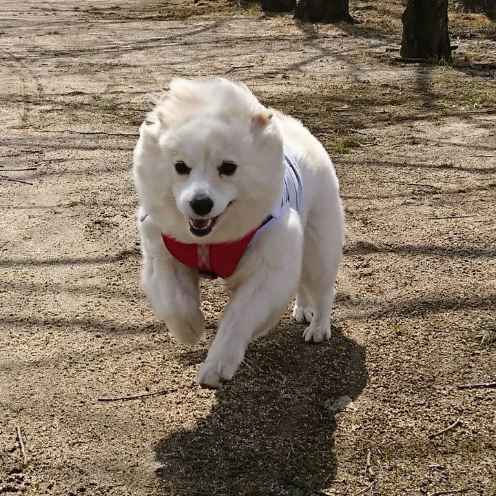 415e9b64 1144 4058 9df4 eb391676a74c