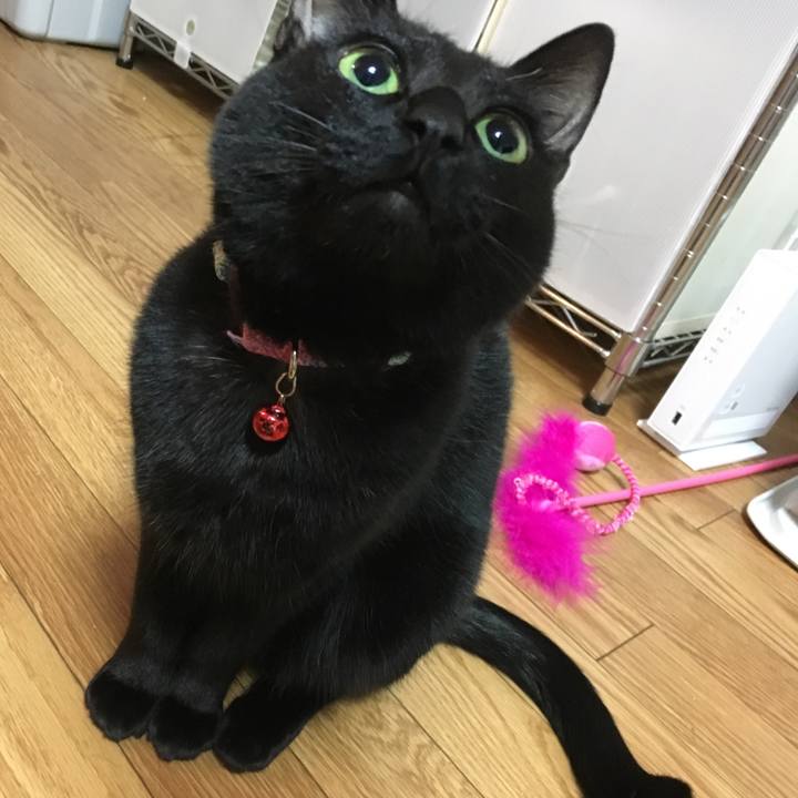 415ea7fe 4395 4559 8068 2721677dd0b4