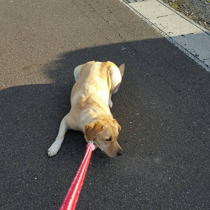 415ed1e0 9e37 4e50 9d6a 6bcea8719ced