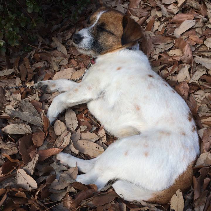 415f1aa8 e493 4045 80ab be47c85d4b86