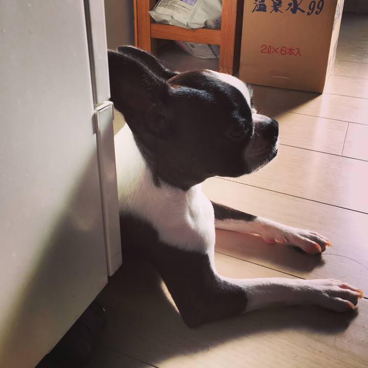 415fce6c 7d43 4695 be40 3638d5299e44