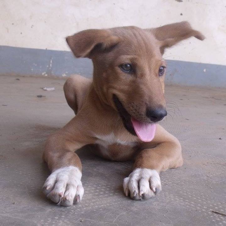 41601b4f c325 4331 afdf 12cc8842a957