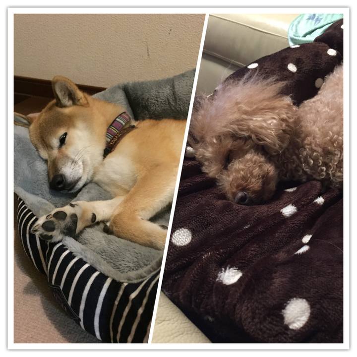 41606579 533a 4bc3 a74a b55ffbbdc994