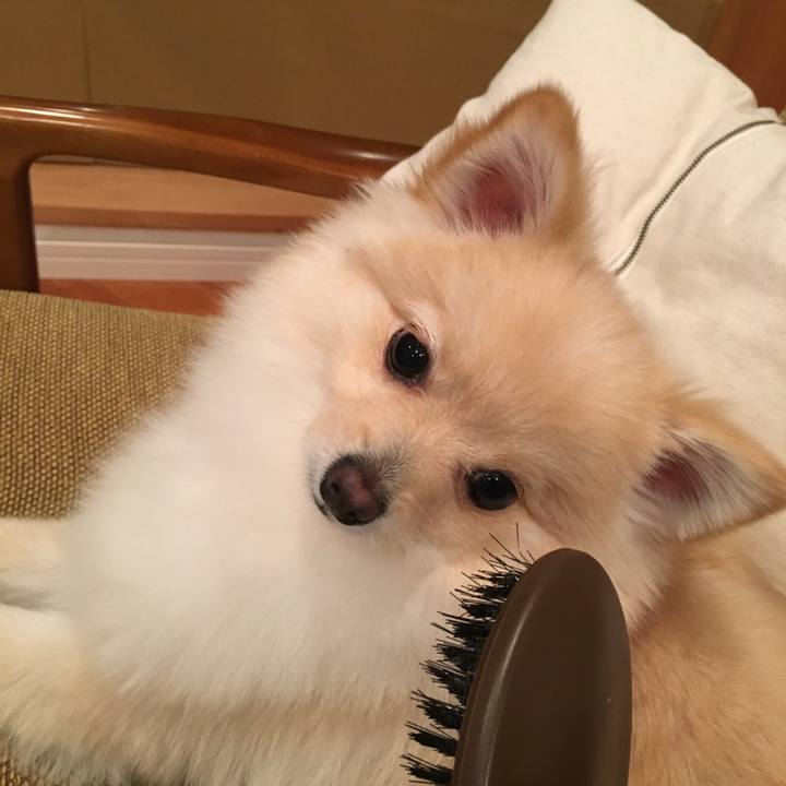 41608414 3350 4997 bfdd 20179e392e05