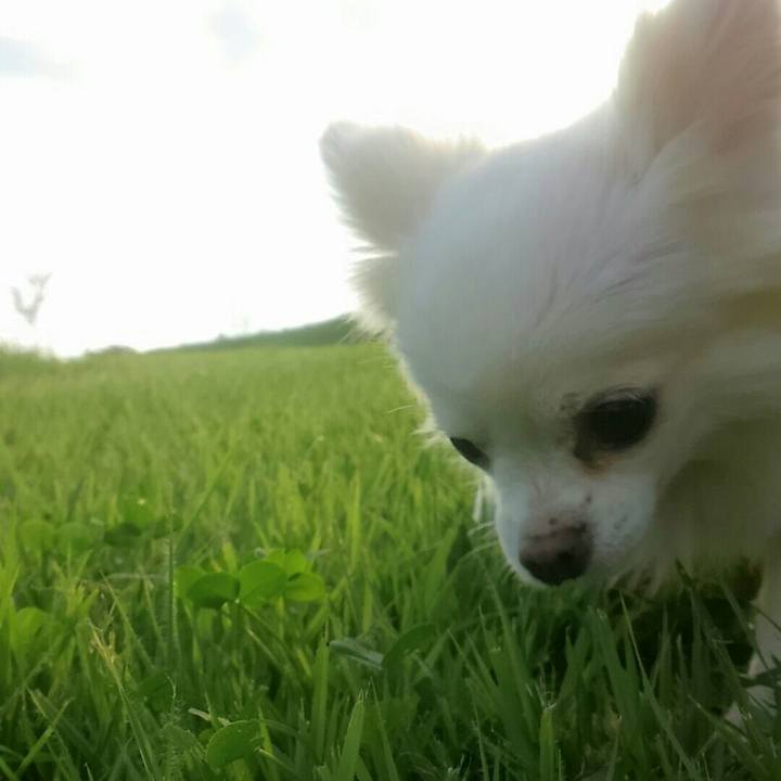 4160a81c b2e9 4cf8 b7c7 87c7e62723be