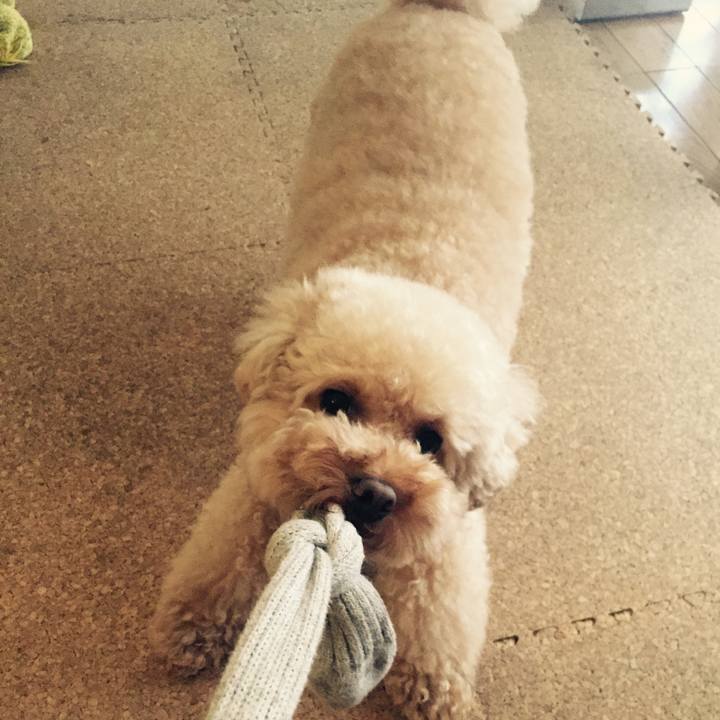 41611ae0 8b5a 42e5 8b11 84aaf4c00bec