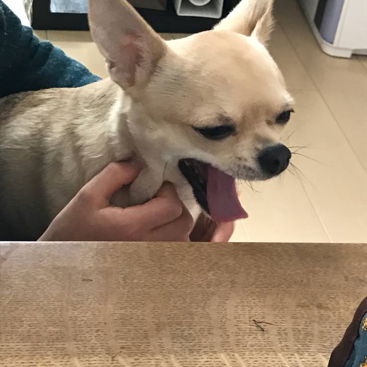 41616245 41e8 47f3 8266 1bf8f2c5626e