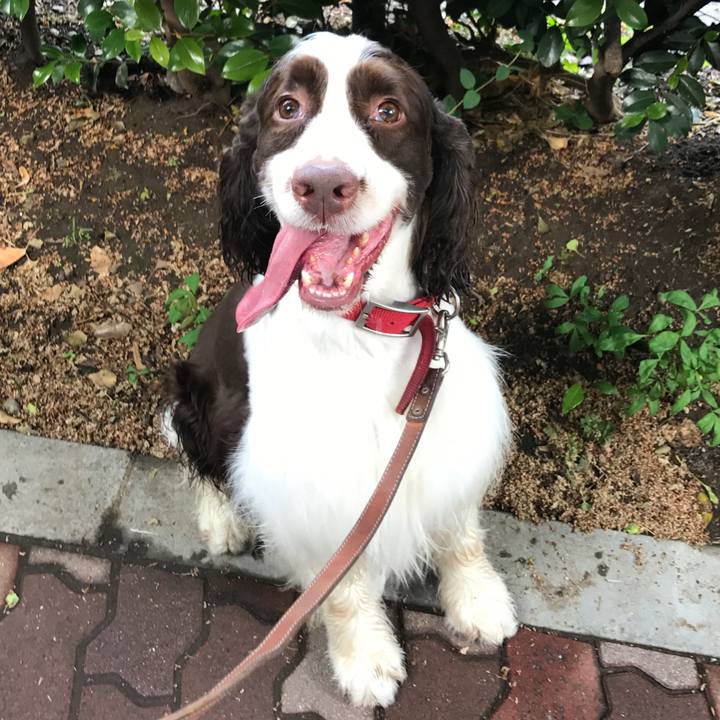 41629e4d 8a75 40d3 819f 609bedf07ed5