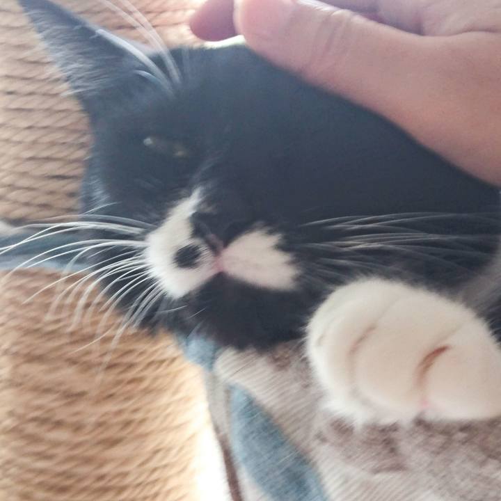 4162dcb3 221a 42b3 89bc 316a6482b6a1