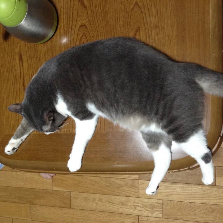 4162e801 2172 4273 973d a34cd9c73aea