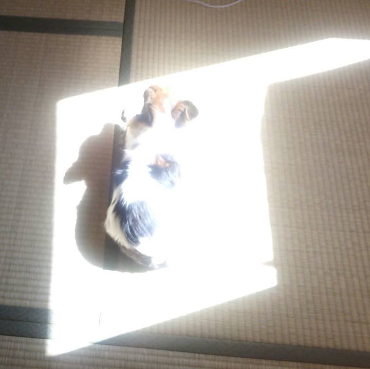 41636c86 a387 43b2 a0a0 0c367a07597b