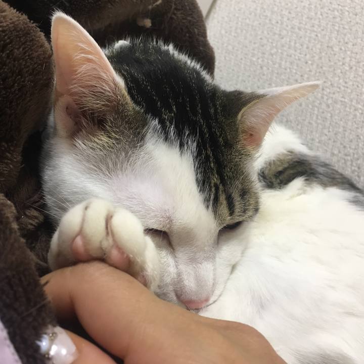 41639c78 302c 40db beff 89af36378d6f