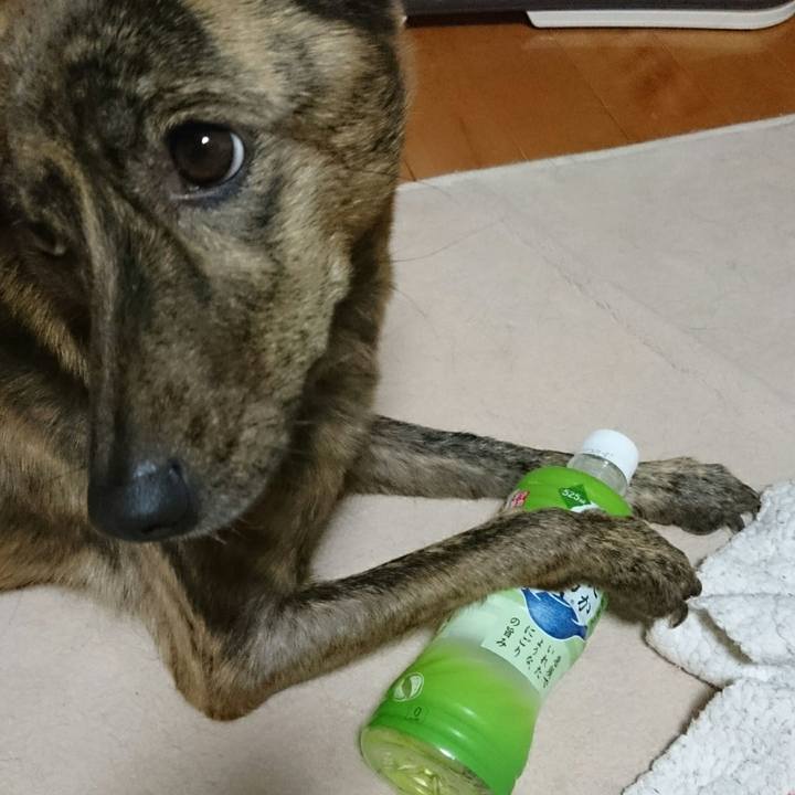 4163c16e ef49 4408 ab34 d14a02624aa1