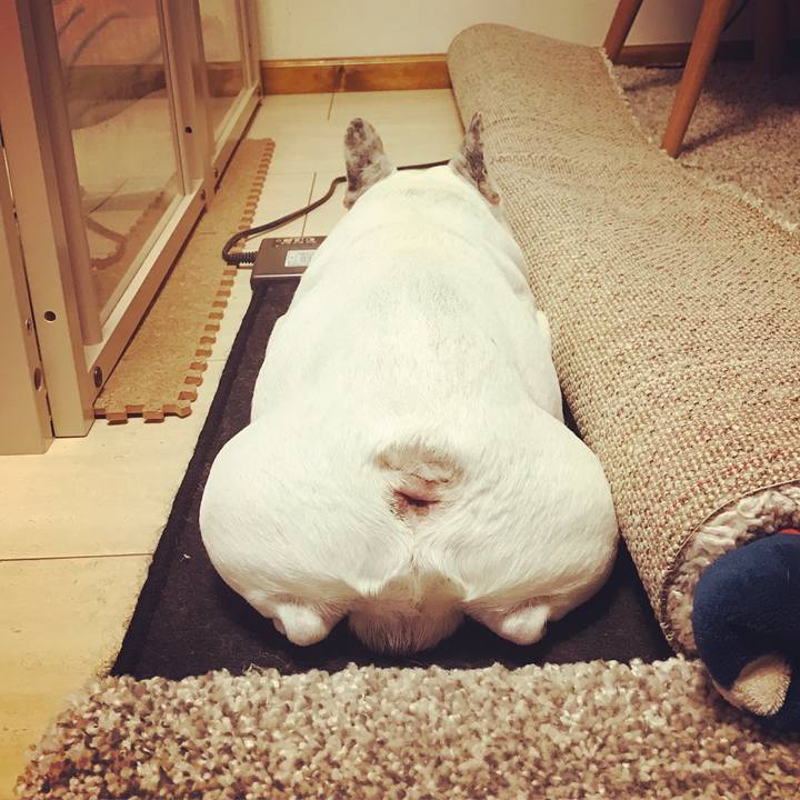 4163e711 d0b4 4c14 8a67 c3c439197ff9