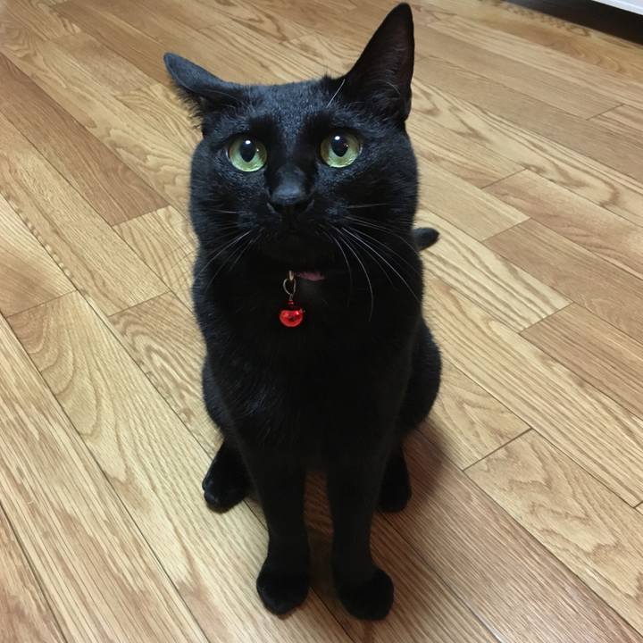 4163f20b c3b2 4bbb 9e28 6ff9b6a7d6cb