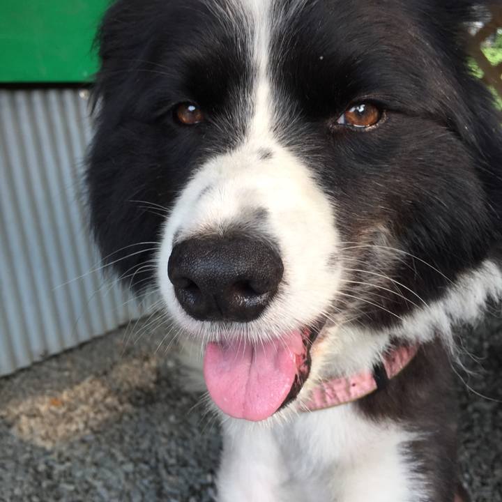 41646eb4 9bc1 446b b31e 709a30e81d1b