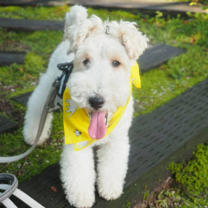 4164cc36 8d82 4552 ac07 bb14b2857847