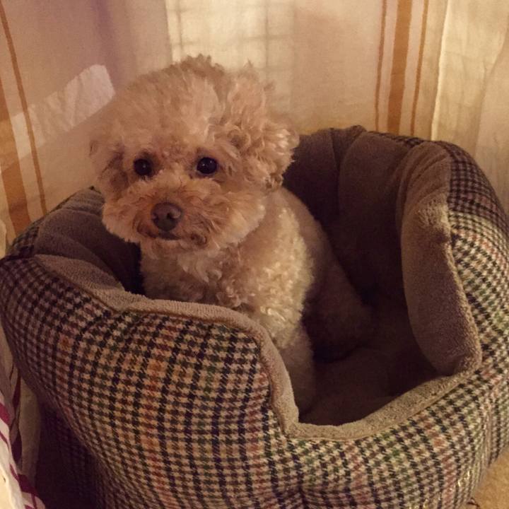 4165f345 fc2b 49e0 89b9 b649926d46a4