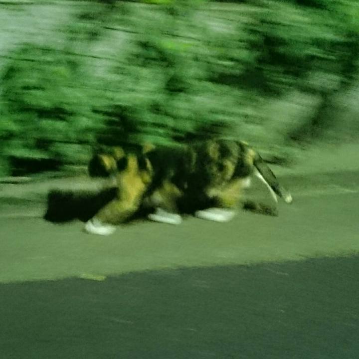 4165f9c4 5f2e 42fd bcfb a91a42f26661