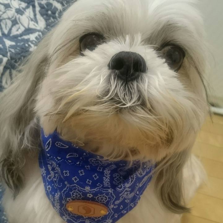 41664f07 e574 4024 9350 204956fcaf75