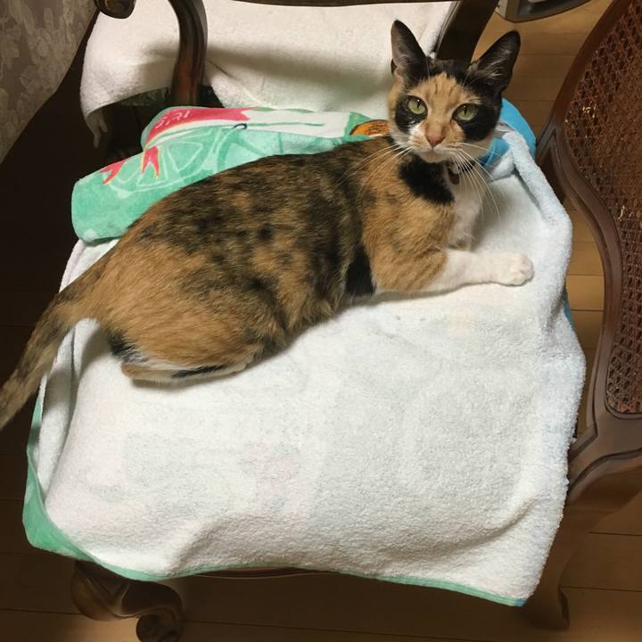 41677ff5 6936 48a6 9349 883ab6623822