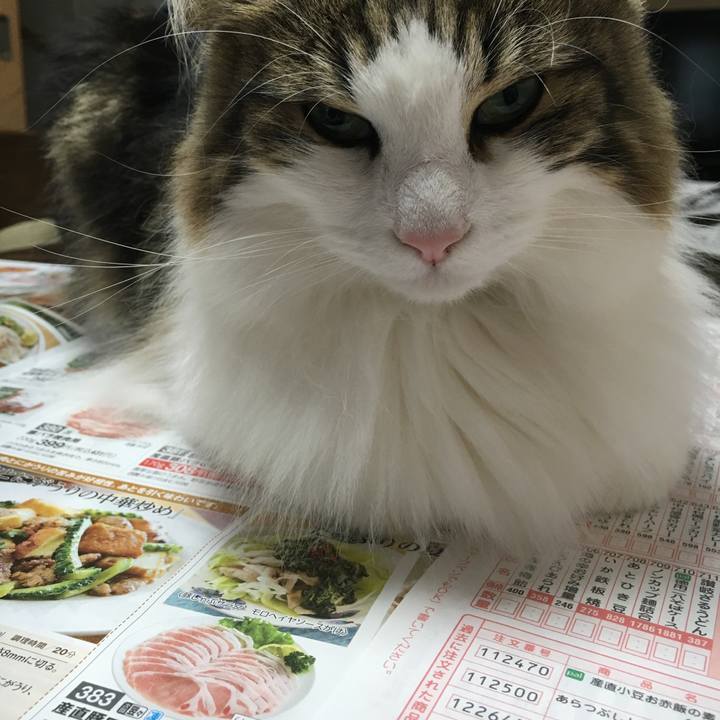 4167b16f cc64 4616 af73 b79794f867d1