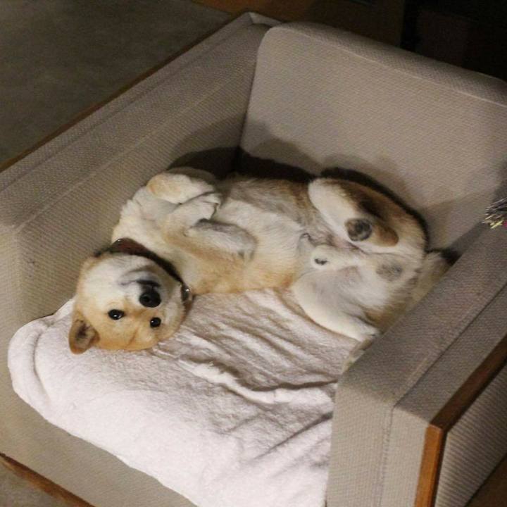 4167f6c3 2dfb 450b bf73 ab019337b69d